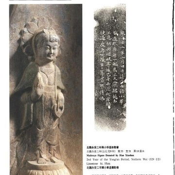 我的收藏